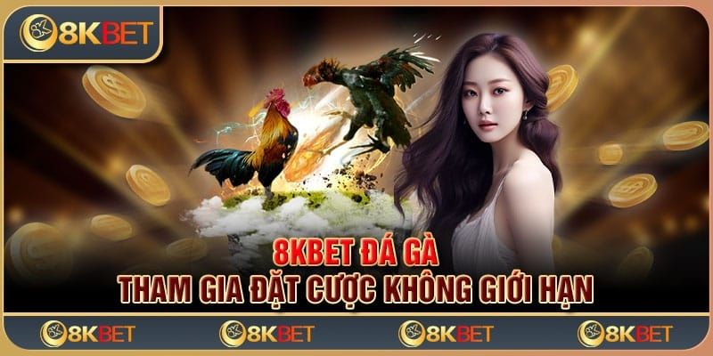 Sơ lược về sảnh đá gà 8KBET bạn nên biết 